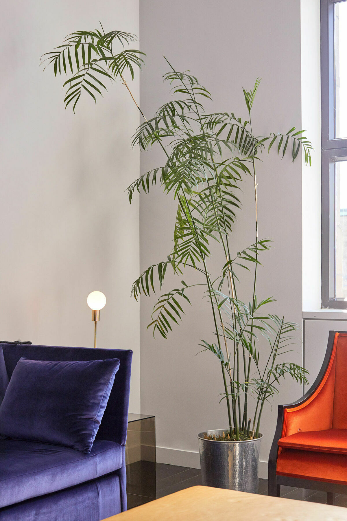 Hotel St Paul, Montreal, A Member Of Design Hotels Interior foto